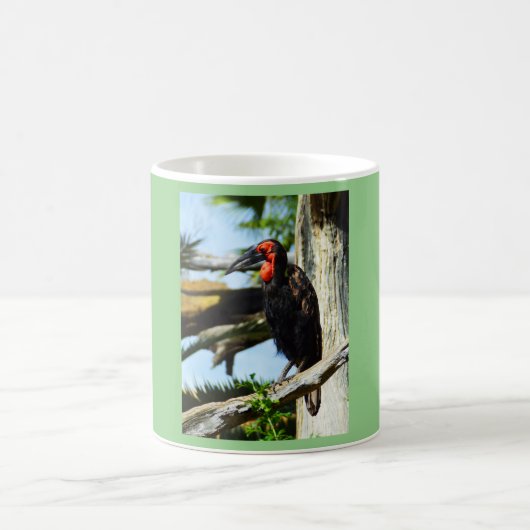 Hornbill Kaffeetasse (Mittel)