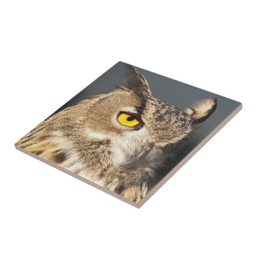 Horned Eagle Owl Foto Fliese (Seite)