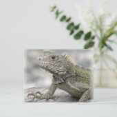 Horned Iguana Postcard Postkarte (Stehend Vorderseite)