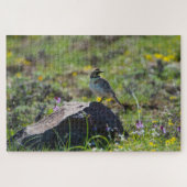 Horned Lark Puzzle (Horizontal)