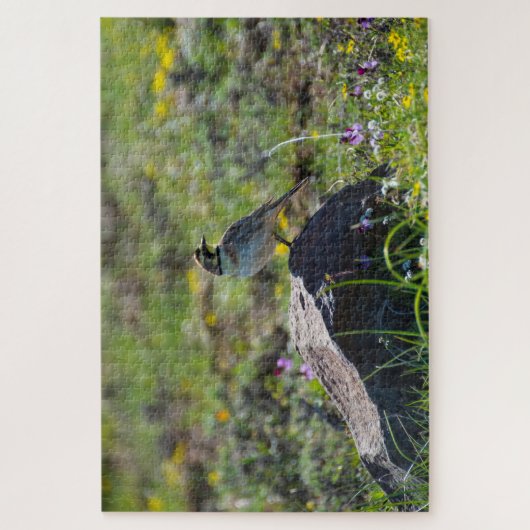 Horned Lark Puzzle (Vertikal)