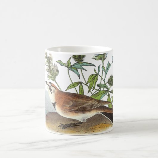 Horned Lark von Audubon Kaffeetasse (Mittel)