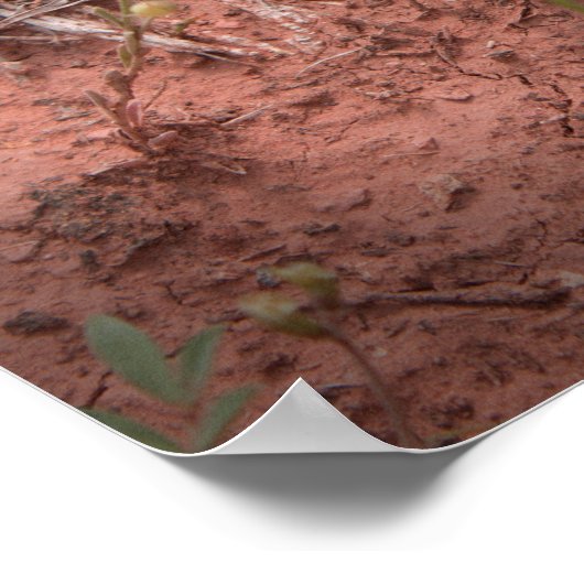 Horned Lizard Poster (Ecke)