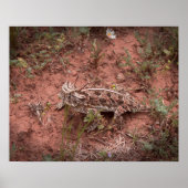 Horned Lizard Poster (Vorne)