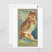 Horned Owl Allen & Ginter Trade Card Postkarte (Vorne/Hinten)