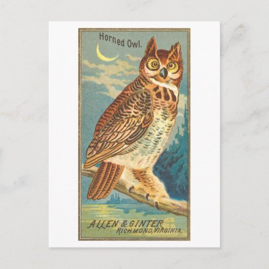 Horned Owl Allen & Ginter Trade Card Postkarte (Vorderseite)