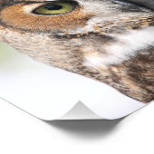 Horned Owl Fotodruck (Ecke)
