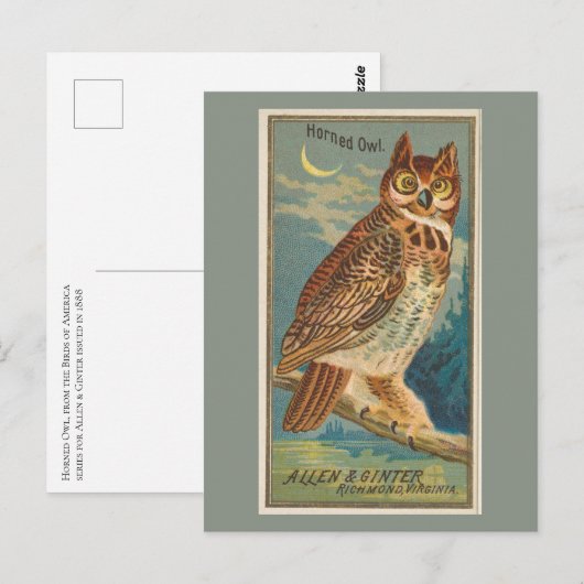 Horned Owl Postkarte (Vorne/Hinten)
