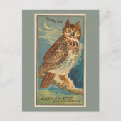 Horned Owl Postkarte (Vorderseite)