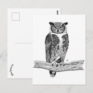 Horned Owl Postkarte