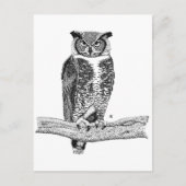Horned Owl Postkarte (Vorderseite)