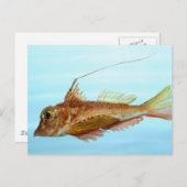 Horned-Suchobin Postkarte (Vorne/Hinten)