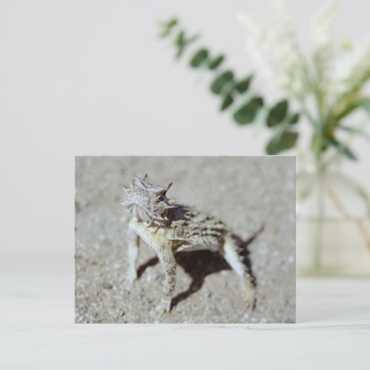 Horned Toad Postkarte (Stehend Vorderseite)