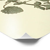 Horned Violet Botanical Illustration Fotodruck (Ecke)