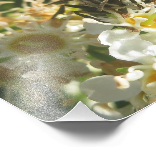 Hornet-Druck mit Bald Fotodruck (Ecke)