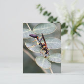 Hornet Foto Postkarte (Stehend Vorderseite)