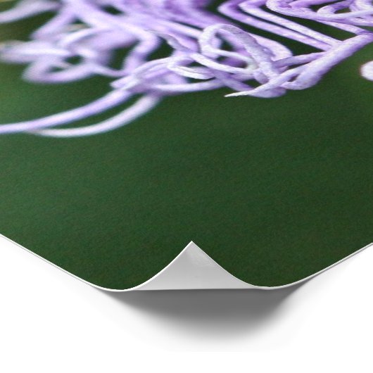 Hornet Fütternd Naturplakat Poster (Ecke)