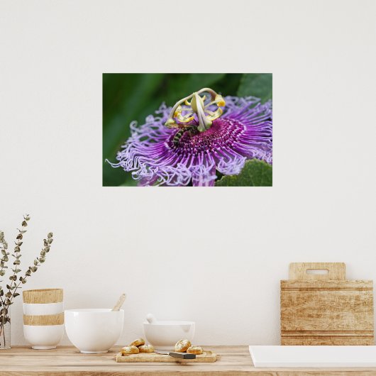 Hornet Fütternd Naturplakat Poster (Küche)