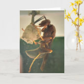 Hornet, Karte (Gelbe Blume)