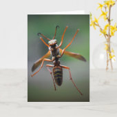 Hornet, Karte (Gelbe Blume)