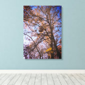 Hornets Nest auf Leinwand (Insitu (Holzboden))