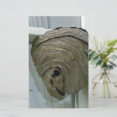 Hornets Nest Briefpapier (Stehend Vorderseite)