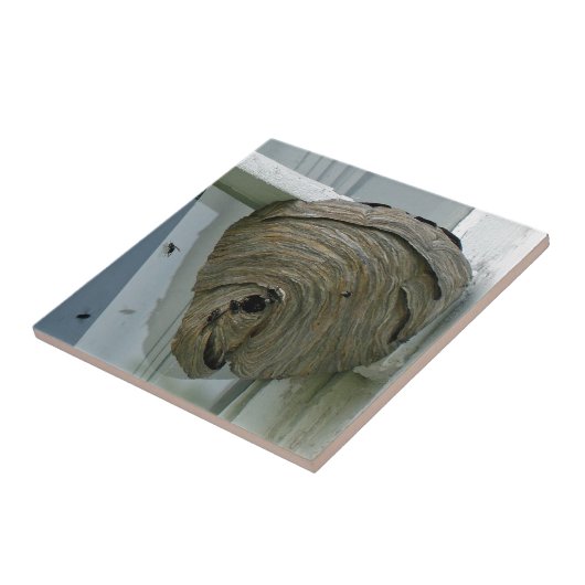 Hornets Nest Fliese (Seite)