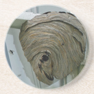 Hornets Nest Getränkeuntersetzer