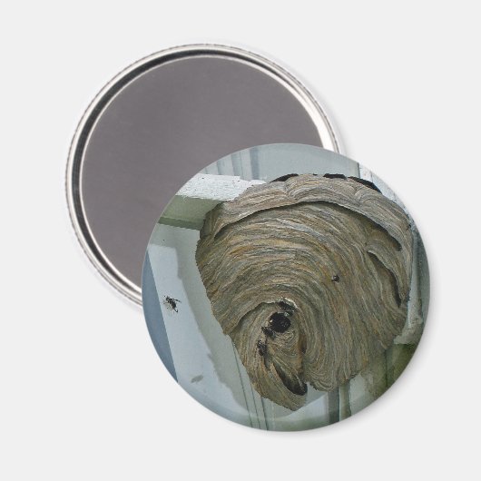 Hornets Nest Magnet (Vorderseite/Rückseite)