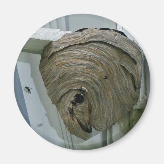 Hornets Nest Magnet (Vorne)
