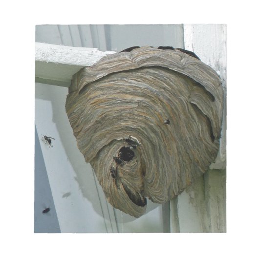 Hornets Nest Notizblock (Vorderseite)