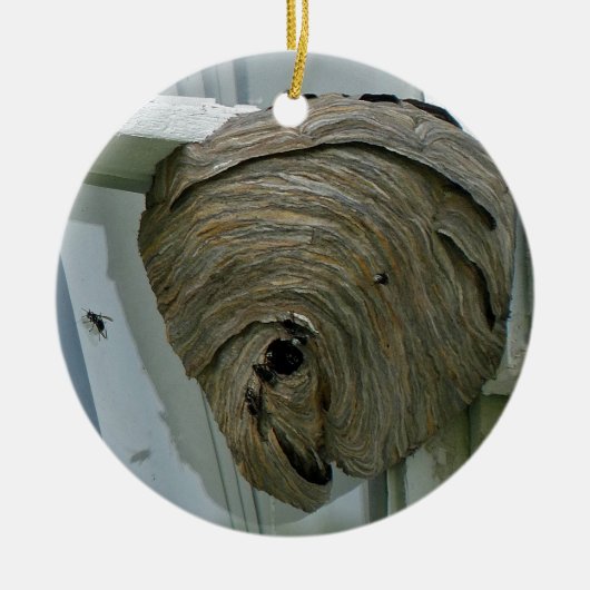 Hornets Nest Ornament (Vorne)