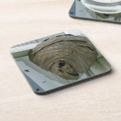 Hornets Nest Untersetzer (Linke Seite)