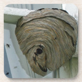 Hornets Nest Untersetzer (Vorderseite)