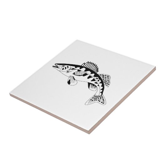 Hornhautfleck-Kontur Fliese (Seite)