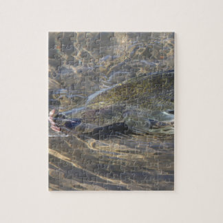 Hornhautflecke gefangen puzzle