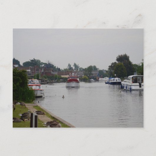 Horning on the River Bure Postkarte (Vorderseite)