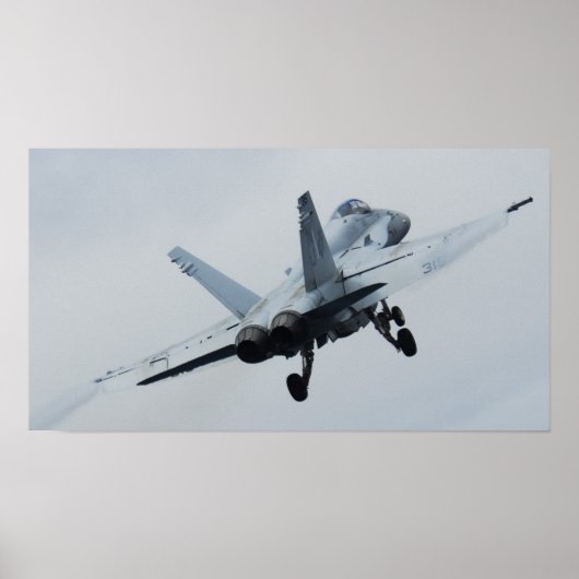 Hornisse F/A-18 Poster (Vorne)