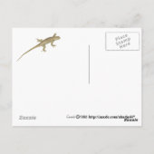 Hornkröte Postkarte (Rückseite)