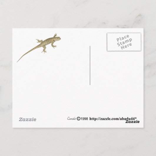 Hornkröte Postkarte (Rückseite)