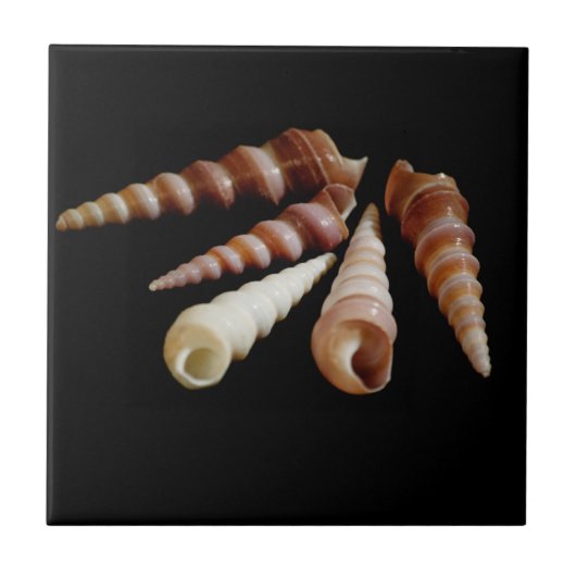 Horns Fliese (Vorderseite)