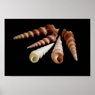 Horns Poster