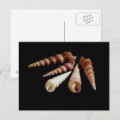 Horns Postkarte (Vorne/Hinten)