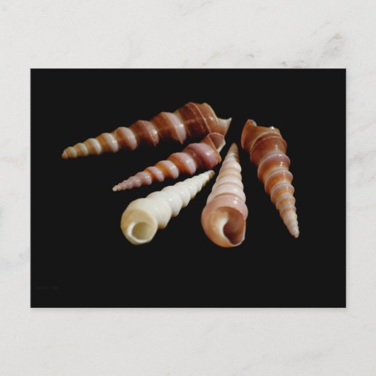 Horns Postkarte (Vorderseite)