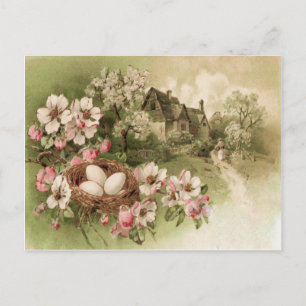 Hornstrauch-Baum-Vogelnest-Ei-Cottage Postkarte