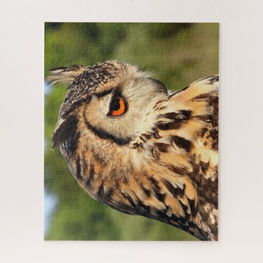 Hornugle-Eule- Raubvögel. Puzzle (Vertikal)