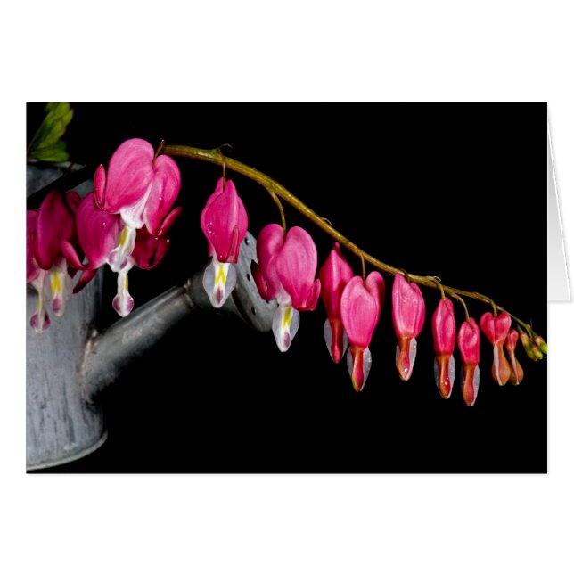 Hörreihe (Vorderseite (Horizontal))