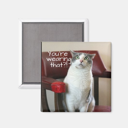 Horrified Cat Magnet (Vorderseite/Rückseite)