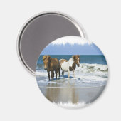 Horse Beach Magnet (Vorderseite/Rückseite)