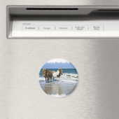 Horse Beach Magnet (In Situ (Geschirrspüler))